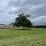 Terrain à bâtir à Martres (33760)