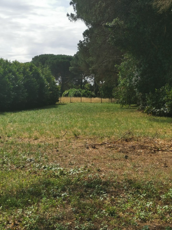 Terrain à bâtir à Saint-Maixant (33490)