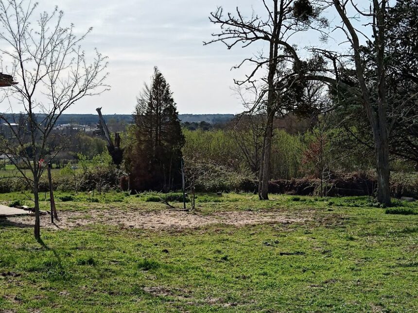 Terrain à bâtir à Pompéjac (33730)
