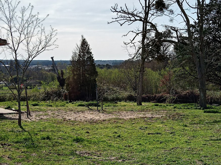 Terrain à bâtir à Pompéjac (33730)