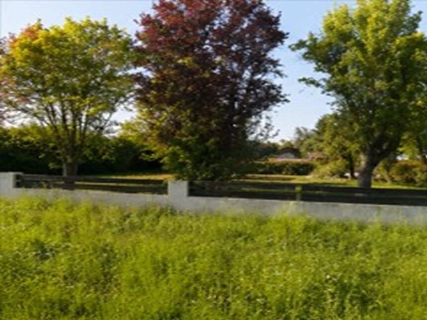 Maison à construire à Périssac (33240)