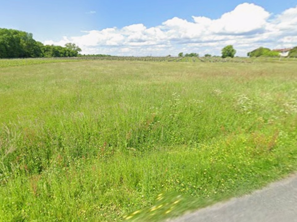 Terrain à bâtir à Bourg (33710)