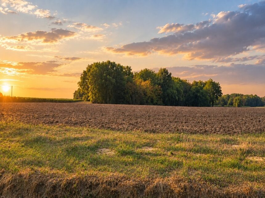 Terrain à bâtir à Saint-Savin (33920)