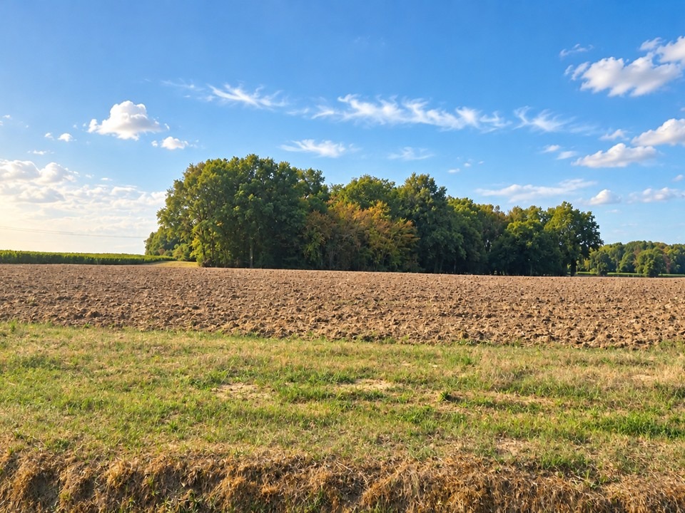 Terrain à bâtir à Saint-Savin (33920)
