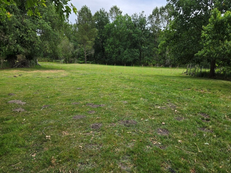 Terrain à bâtir à Saint-Mariens (33620)