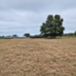 Terrain à bâtir à Cézac (33620)