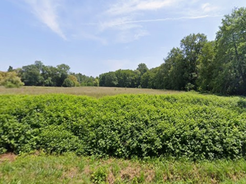 Terrain à bâtir à Cavignac (33620)
