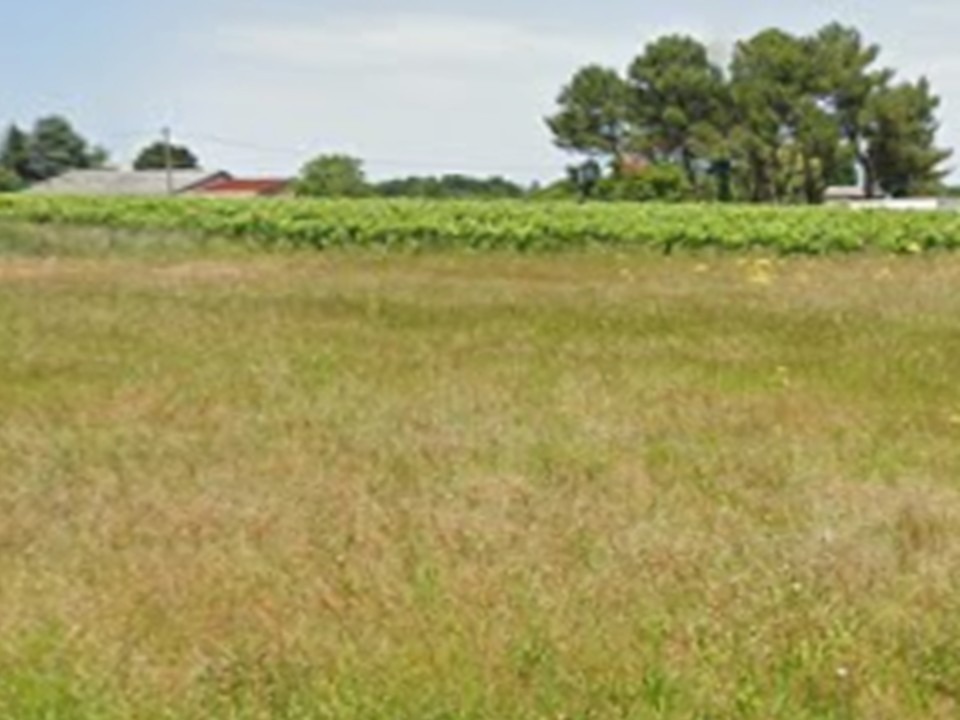 Terrain à bâtir à Cavignac (33620)