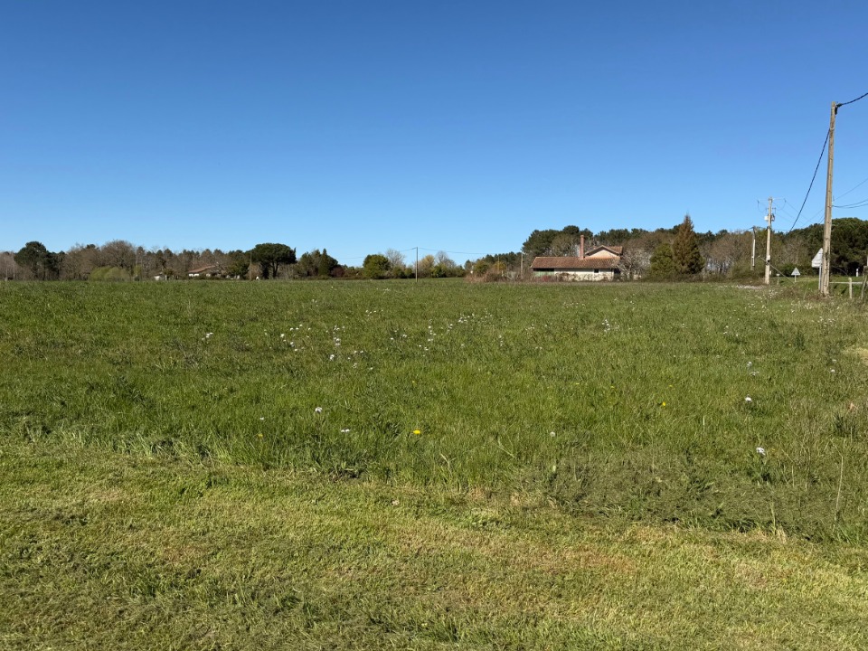 Terrain à bâtir à Bazas (33430)
