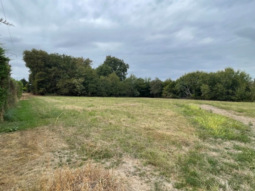 Terrain à bâtir à Langon (33210)