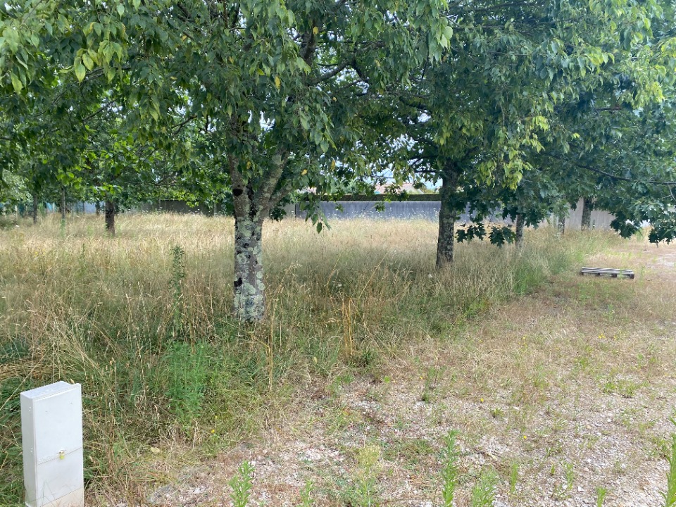 Terrain à bâtir à Le Pout (33670)
