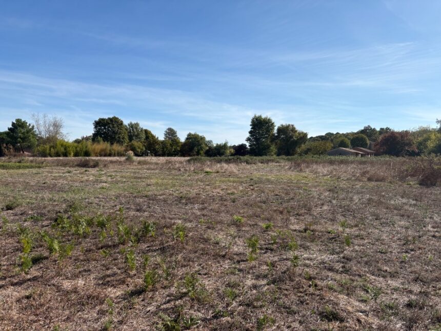 Terrain à bâtir à Biganos (33380)