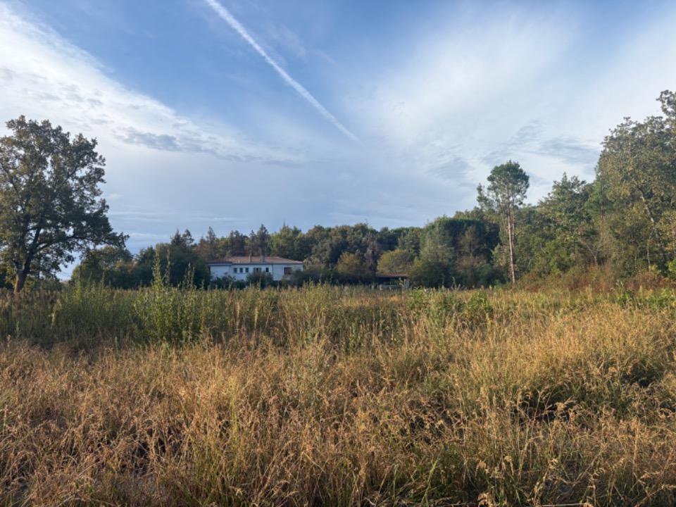Terrain à bâtir à La Brède (33650)