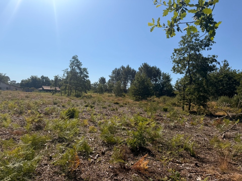 Terrain à bâtir à Salles (33770)