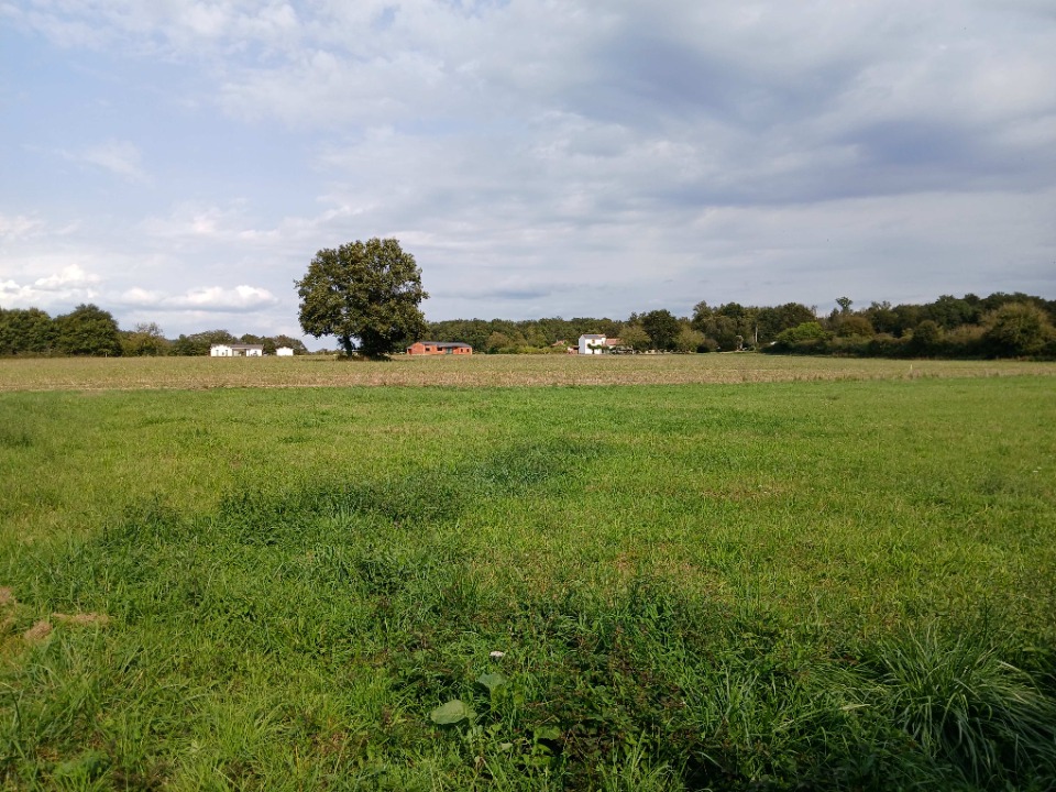 Terrain à bâtir à Tocane-Saint-Apre (24350)
