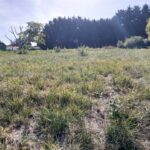 Terrain à bâtir à Tocane-Saint-Apre (24350)