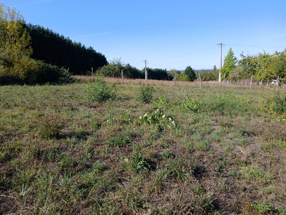 Terrain à bâtir à Tocane-Saint-Apre (24350)
