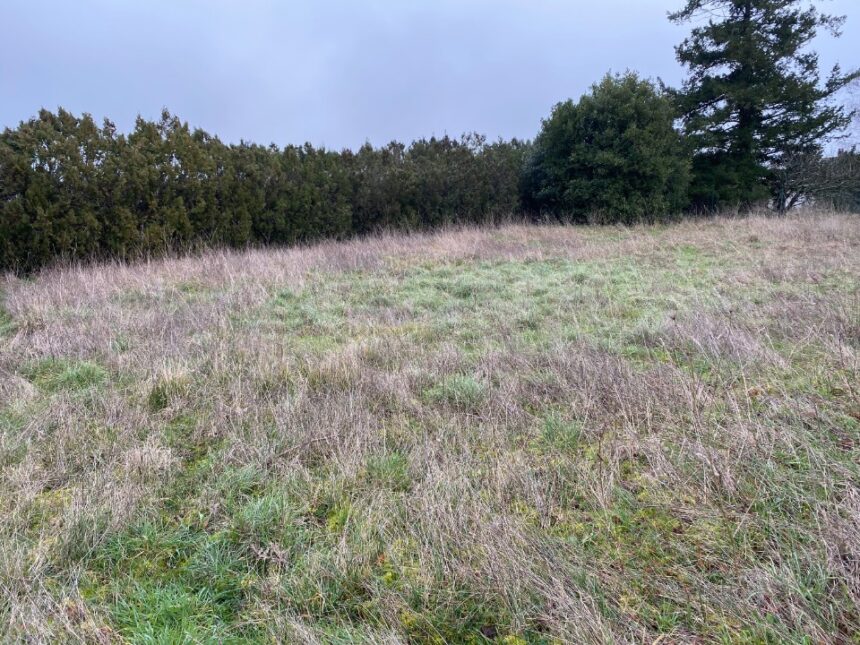 Terrain à bâtir à Pont-l’Abbé-d’Arnoult (17250)