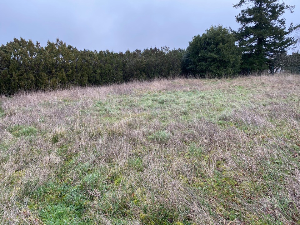 Terrain à bâtir à Pont-l’Abbé-d’Arnoult (17250)