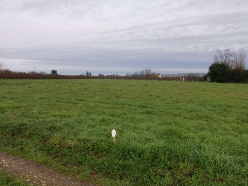 Terrain à bâtir à Saint-Pierre-de-Mons (33210)
