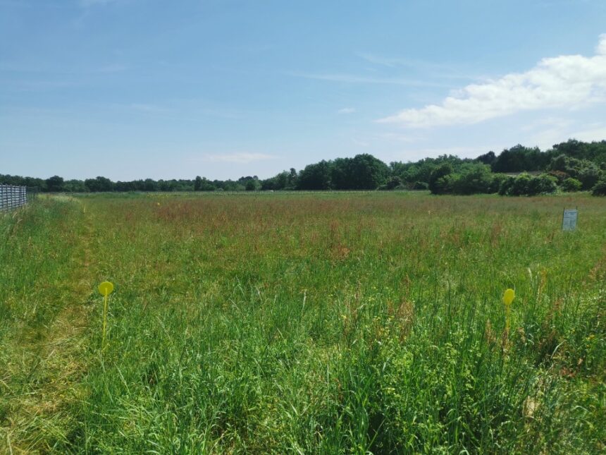Terrain à bâtir à Mazères (33210)