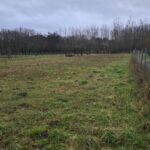 Maison à construire à Gauriaguet (33240)