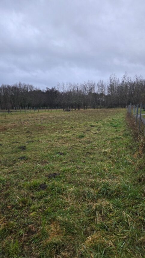 Terrain à bâtir à Gauriaguet (33240)