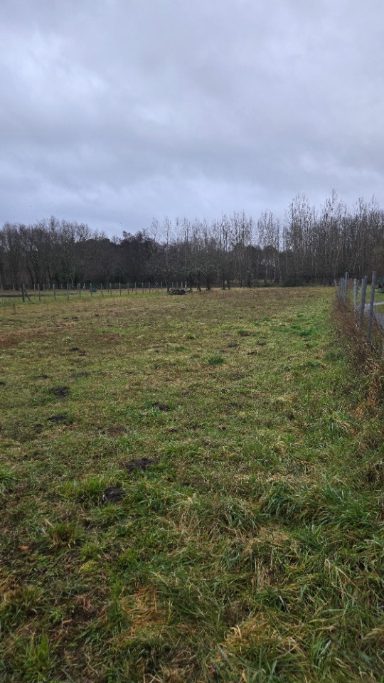 Terrain à bâtir à Gauriaguet (33240)