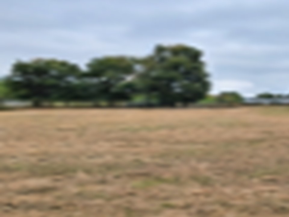 Terrain à bâtir à Cézac (33620)