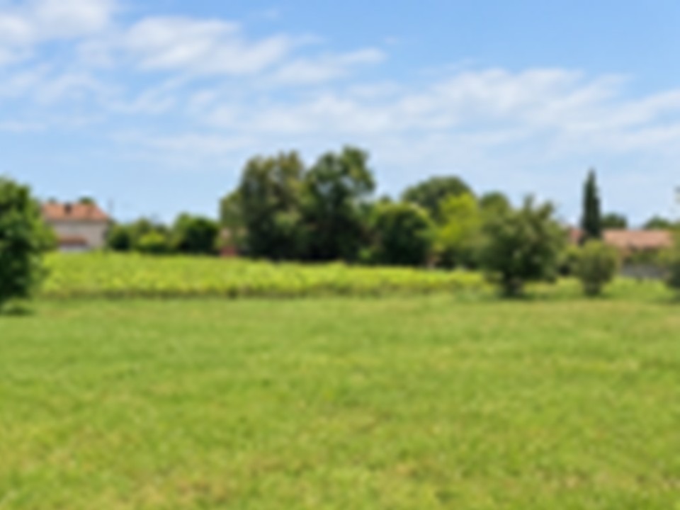 Terrain à bâtir à Prignac-et-Marcamps (33710)