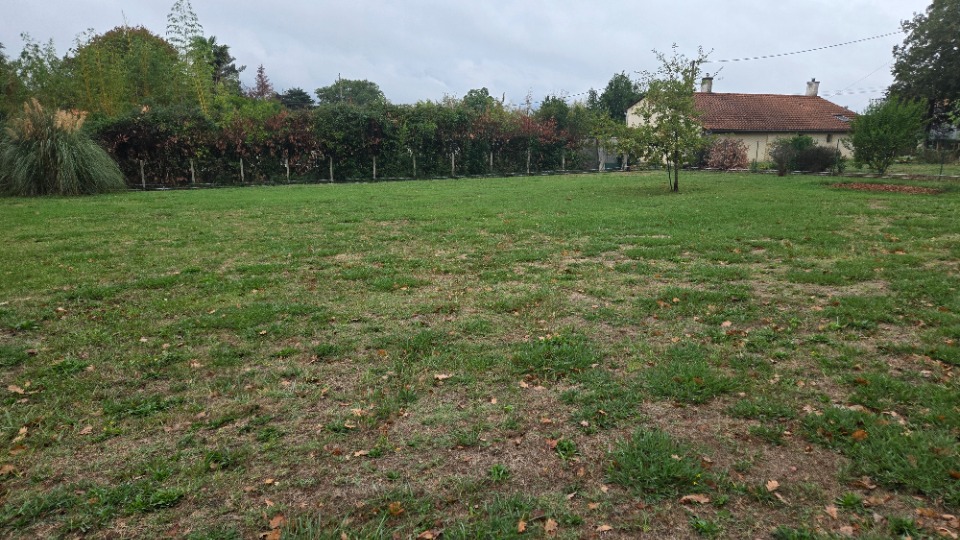 Terrain à bâtir à Saint-Savin (33920)