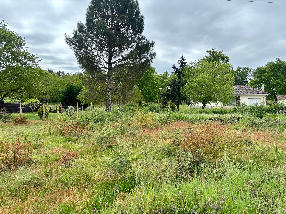 Terrain à bâtir à Mimizan (40200)
