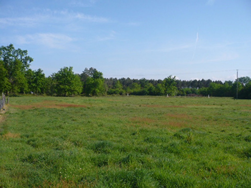 Terrain à bâtir à Ambarès-et-Lagrave (33440)