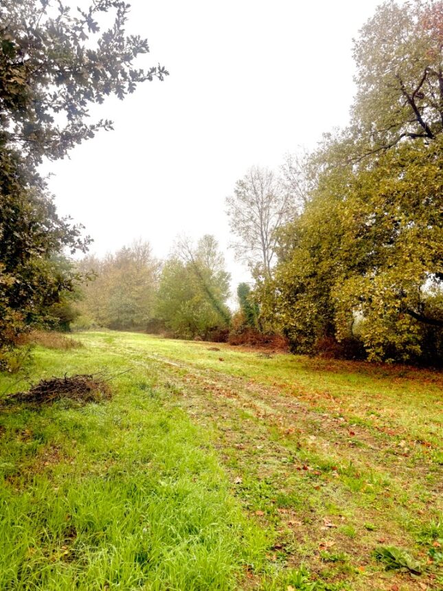 Terrain à bâtir à Sablons (33910)
