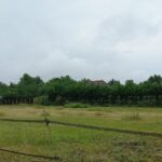 Terrain à bâtir à Montpon-Ménestérol (24700)
