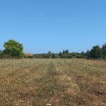 Terrain à bâtir à Saint-Médard-de-Mussidan (24400)