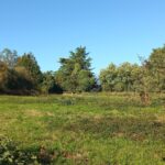 Terrain à bâtir à Saint-Rémy (24700)