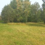 Terrain à bâtir à Ménesplet (24700)