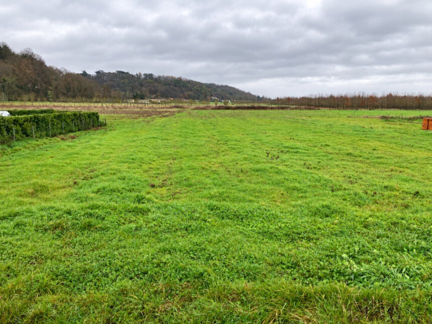 Terrain à bâtir à Saint-Antoine-de-Breuilh (24230)