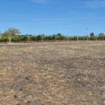 Terrain à bâtir à Vélines (24230)