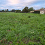 Terrain à bâtir à Gours (33660)