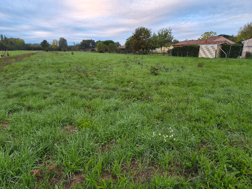 Terrain à bâtir à Gours (33660)