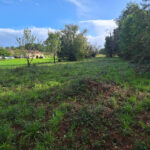 Terrain à bâtir à Gours (33660)