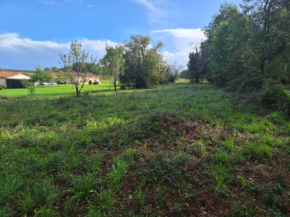 Terrain à bâtir à Gours (33660)