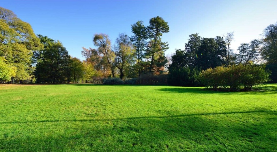 Terrain à bâtir à Saint-Quentin-de-Baron (33750)