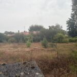 Maison à construire à Léognan (33850)