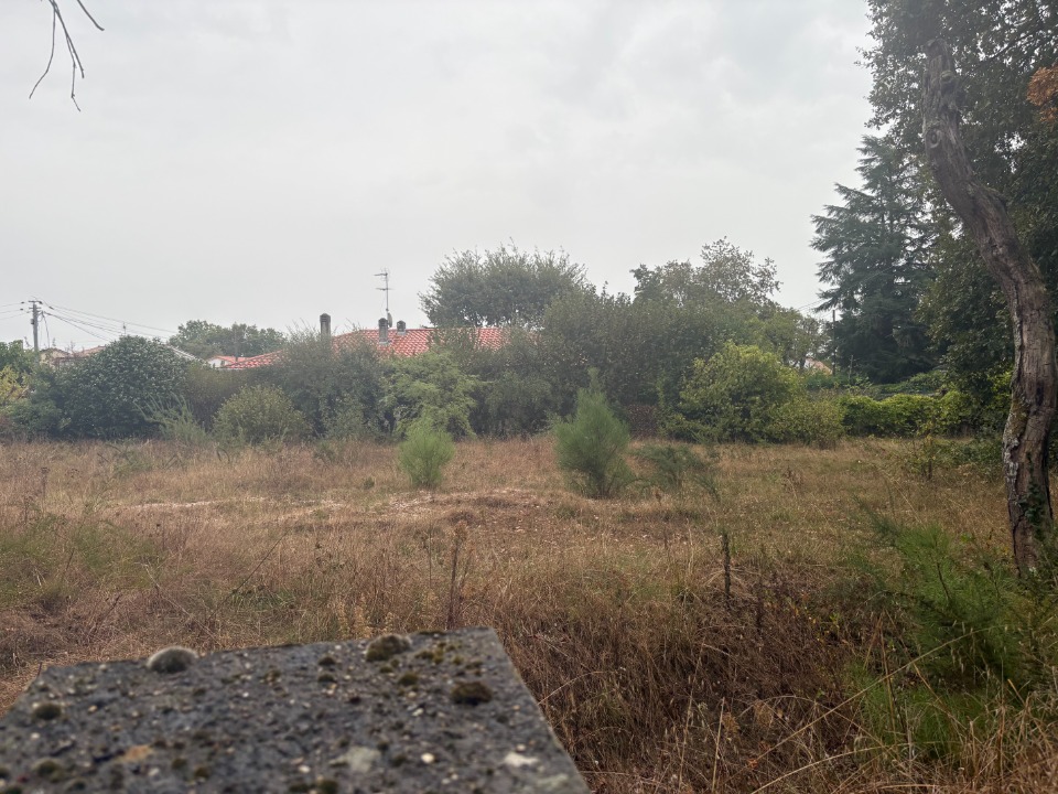 Terrain à bâtir à Léognan (33850)