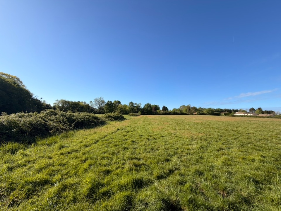 Terrain à bâtir à Loupes (33370)