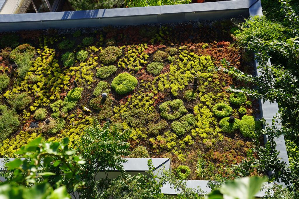 maison toit terrasse végétalisé
